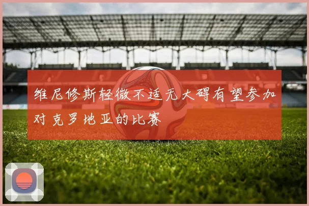 维尼修斯轻微不适无大碍有望参加对克罗地亚的比赛